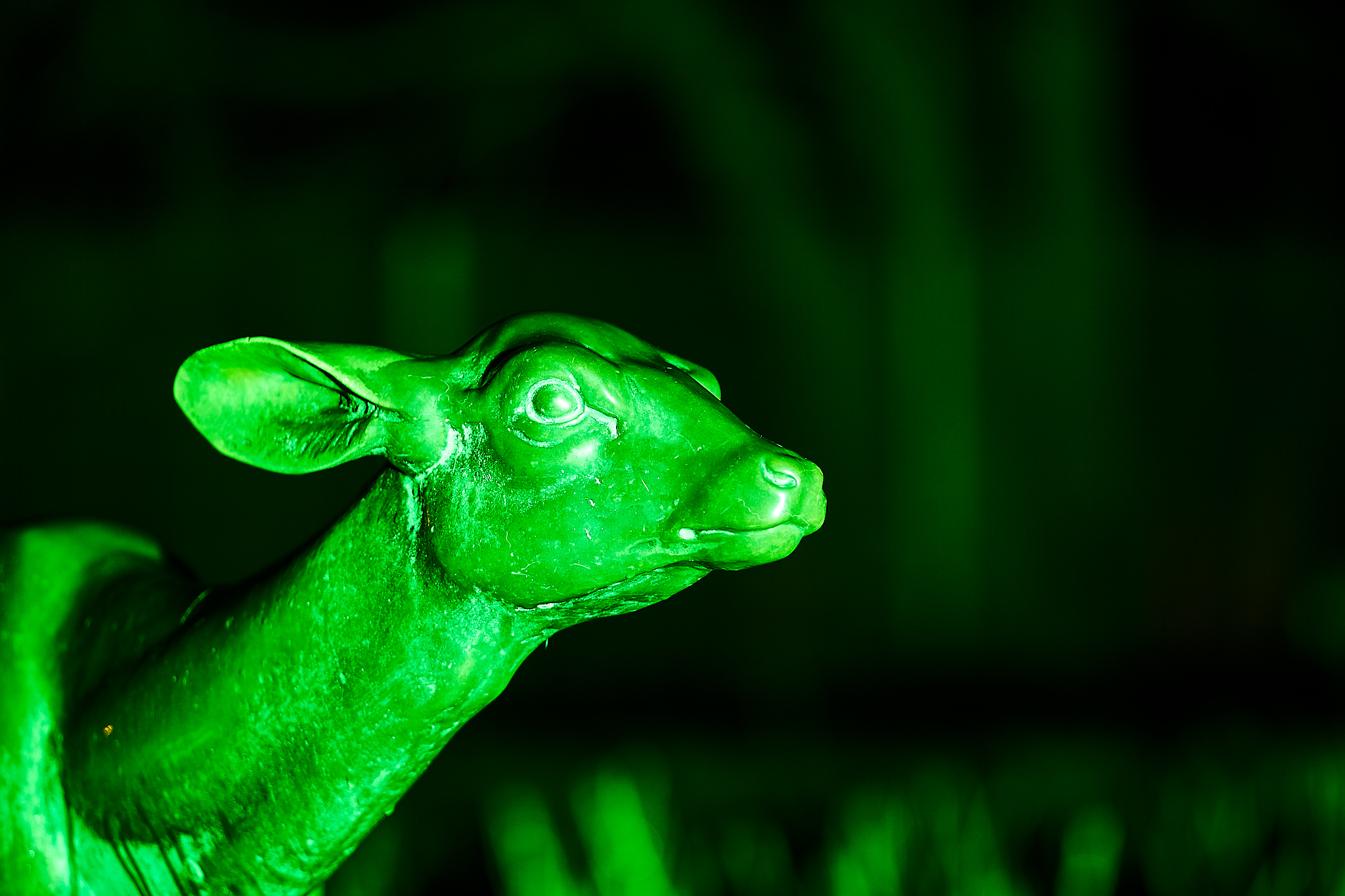 2018 03 10 Parkleuchten 0155